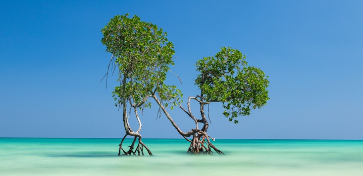 Travel Guide to Andaman and Nicobar Islands