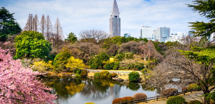 Best Time to Visit Japan