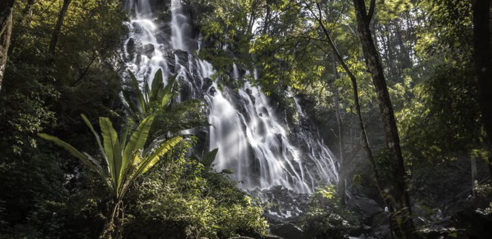 Explore Places in Bali