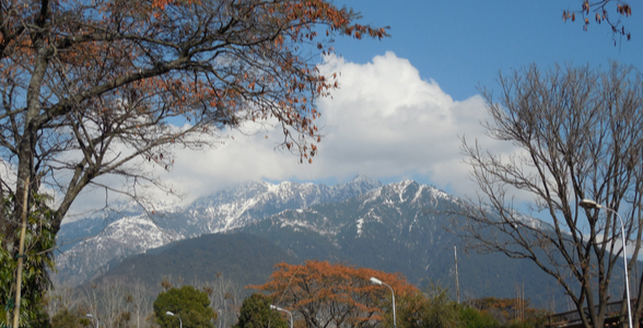 Drive Into Dharamshala