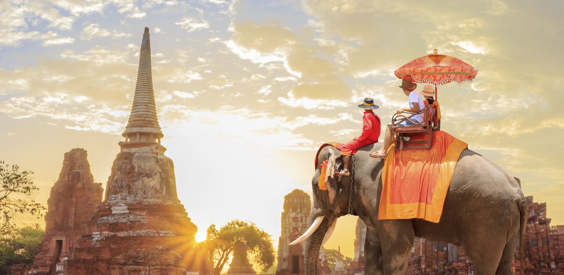 Love Culture and Travel