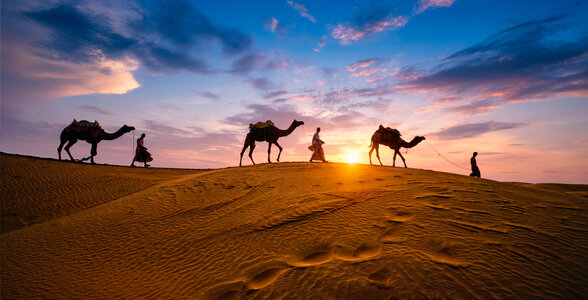 Dunes of Thar in Rajasthan