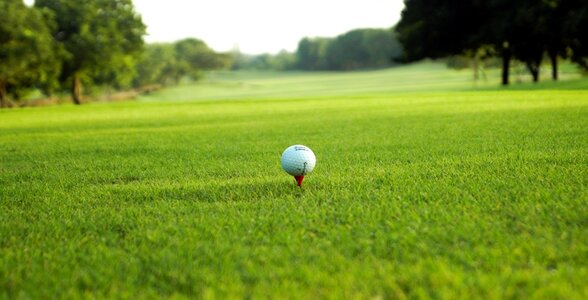 Eagleton Golf Resort, Bengaluru