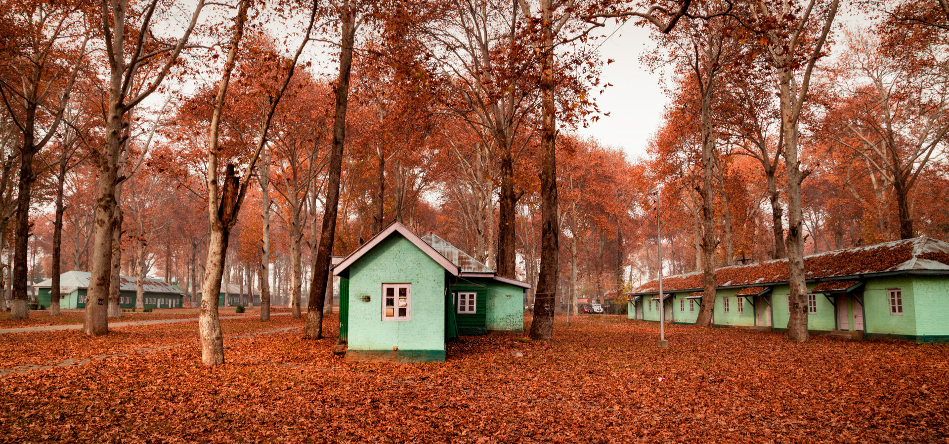 Experience the Colours of Fall in India