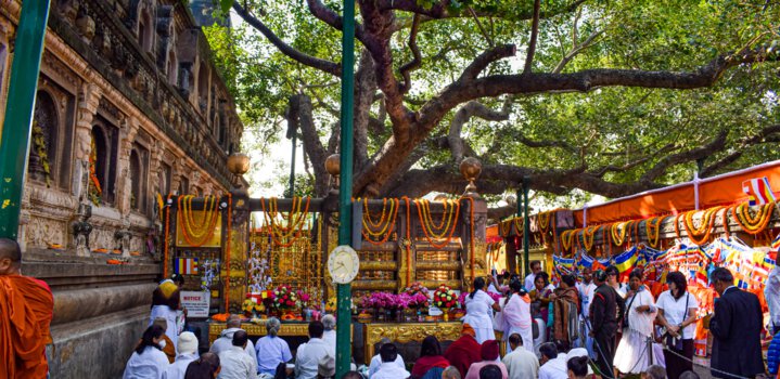 Tourist Places in Bodh Gaya