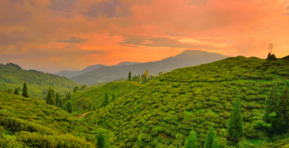 fun weekends in west bengal