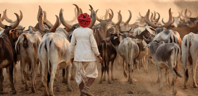 Gaurav Garvi Gujarat Tour