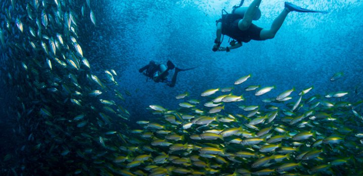 New Adventure Activities in Goa