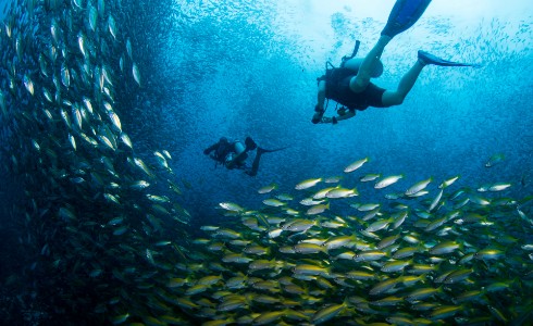 scuba diving in Karnataka