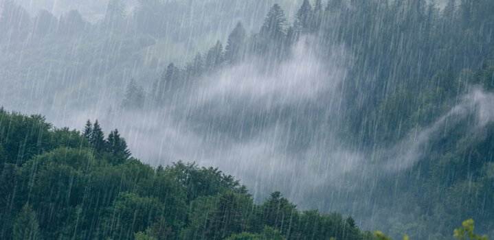 IMD Issues Rainfall Alert across India for the First Week of June
