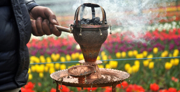 Indira Gandhi Memorial Tulip Garden