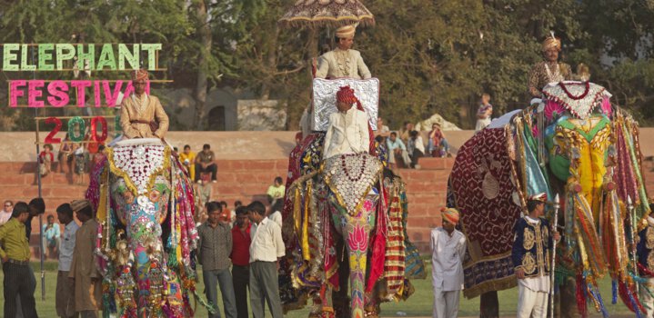 Elephant Festival in Jaipur