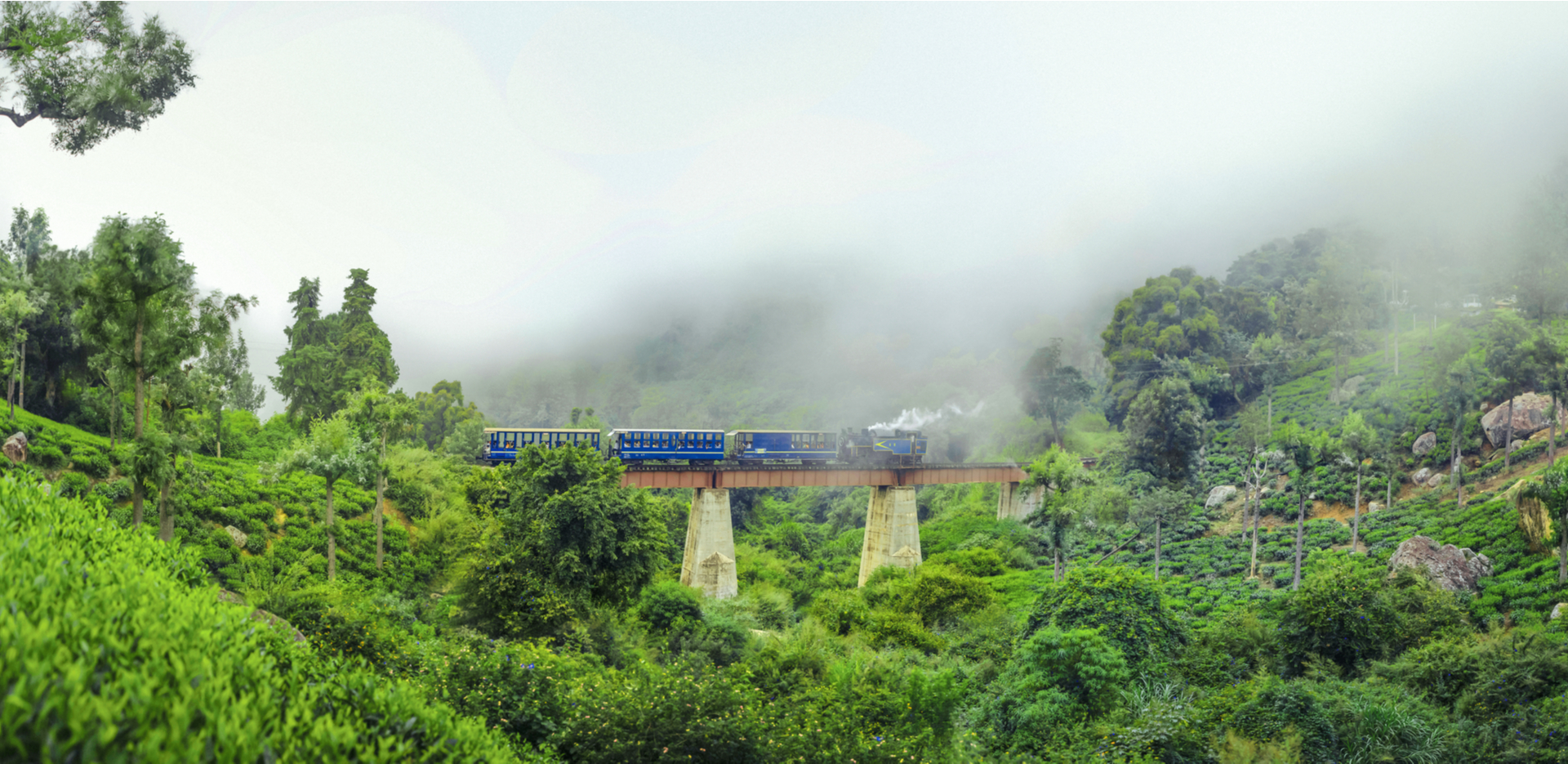Club Mahindra Derby Green Ooty