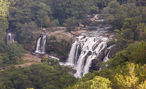 Jhari Falls