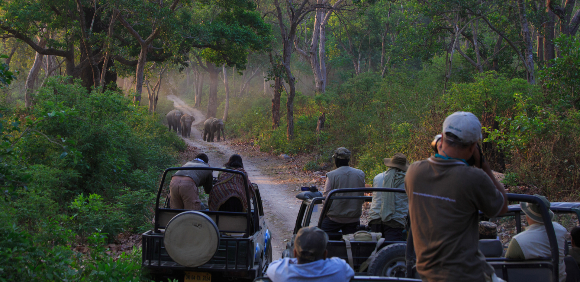 Jim Corbett Club Mahindra