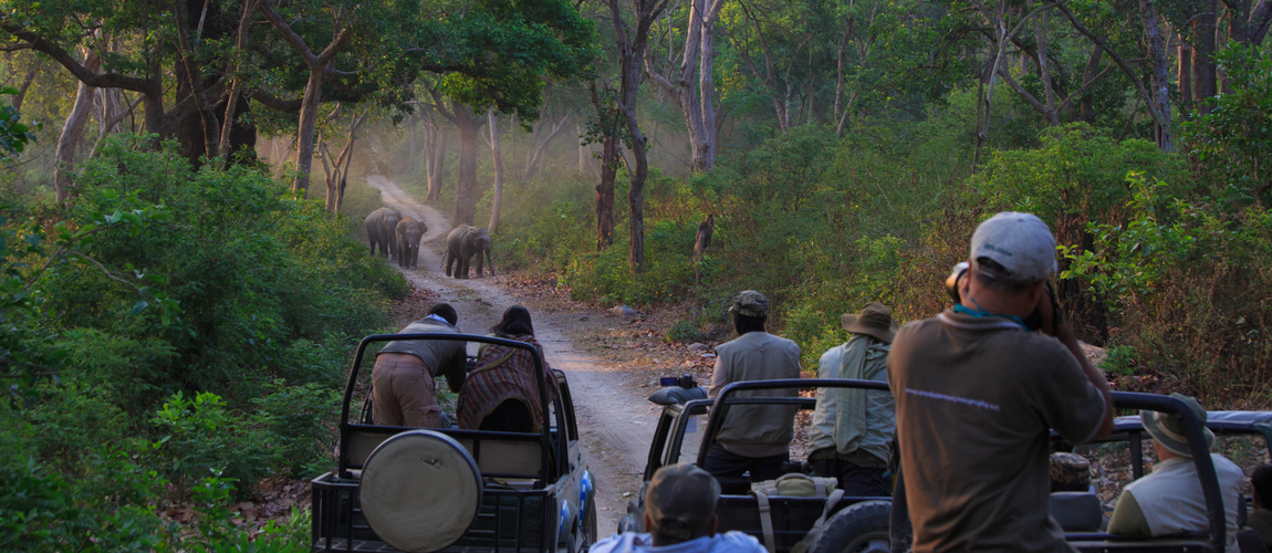 Jim Corbett Club Mahindra
