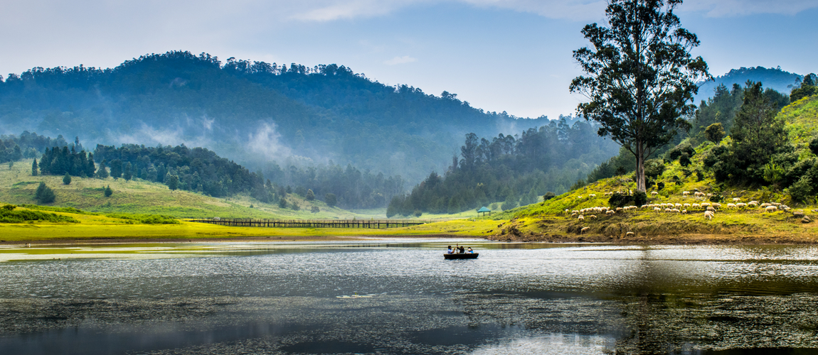 Top 5 Things To Do In Kodaikanal During Family Vacation
