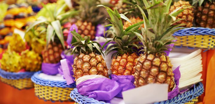 Konkan Fruit Festival 2025