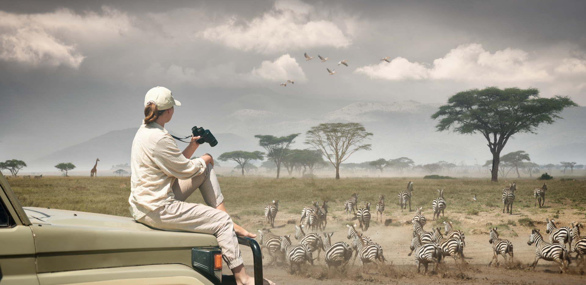 Wildlife Holiday with Club Mahindra