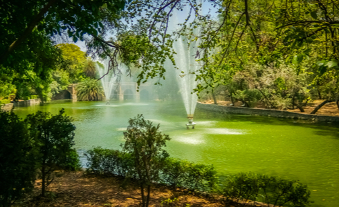 Things to Do in Daman - Visit the Mirasol Lake Garden