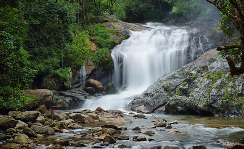 Lakkam Waterfall Munnar