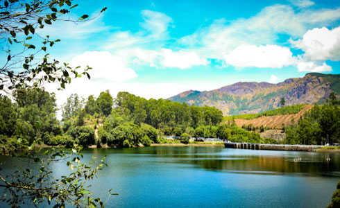 Mattupetty Dam Munnar