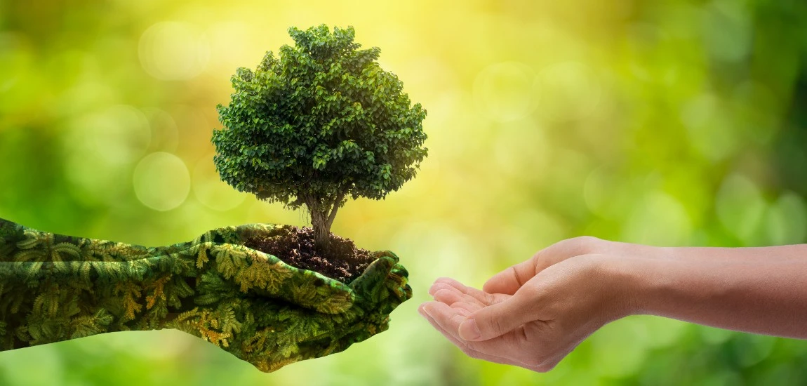 All You Need to Know About World Environment Day 2022
