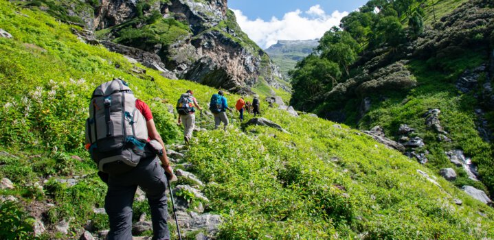 Himalayan Trek