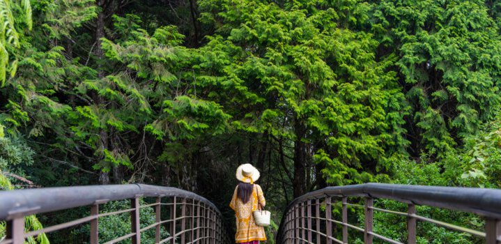 Mumbai's first elevated forest walkway