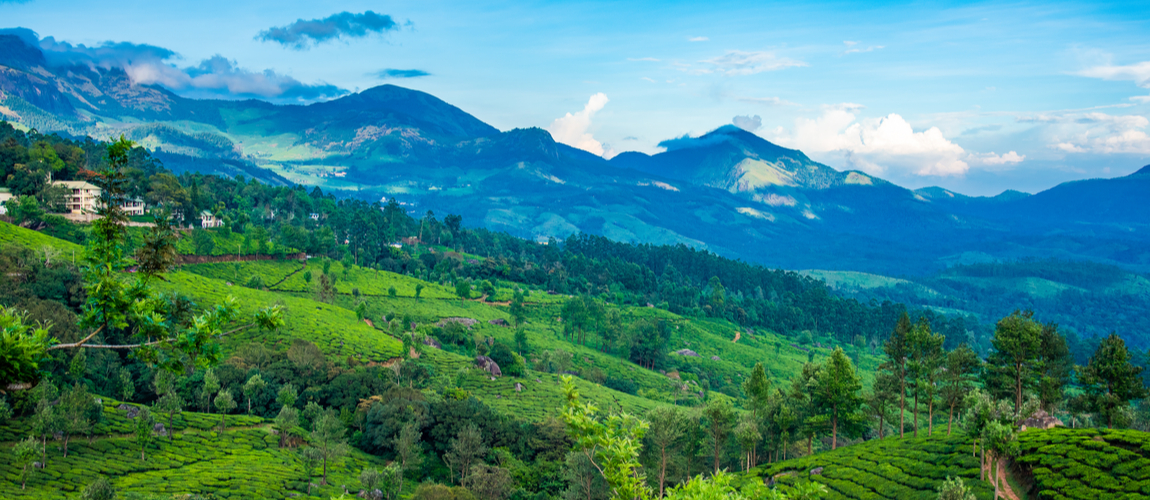 Munnar Resort Club Mahindra