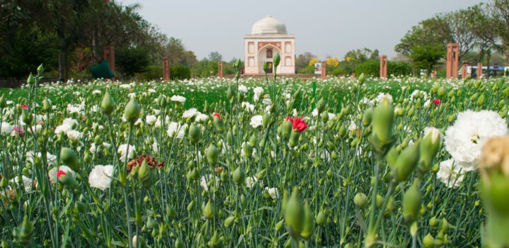 Heritage Park in Delhi