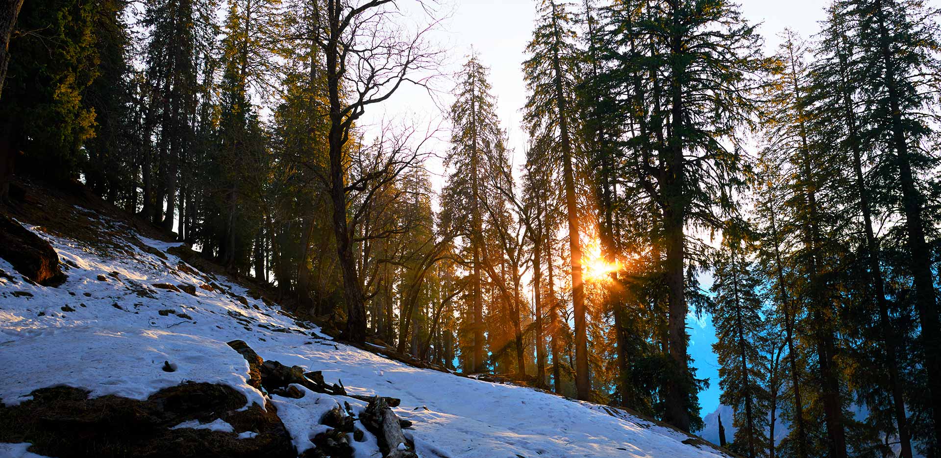 Places to visit in india during christmas and new year