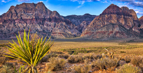 Things to do in Las Vegas - Explore the Red Rock Canyon National Conservation Area