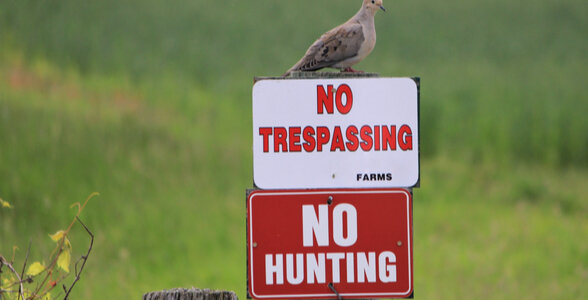 Restriction on Hunting