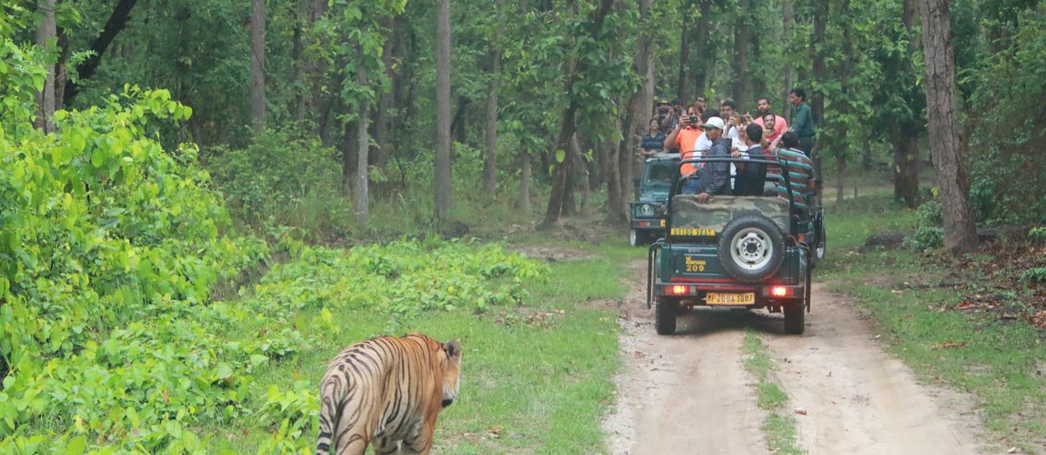 Experience the best of Kanha National Park with the best of Club Mahindra