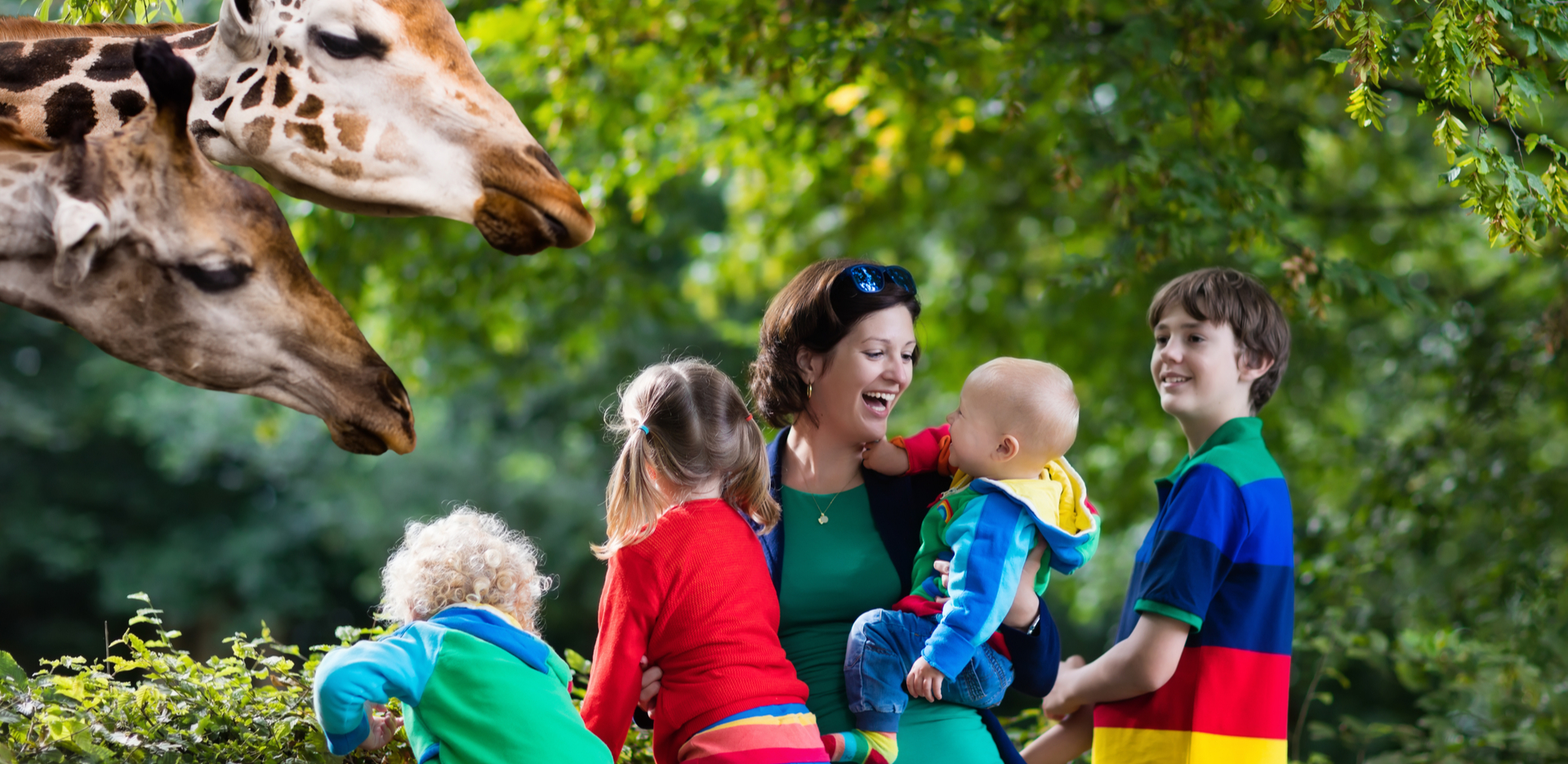 Experience Wildlife with family