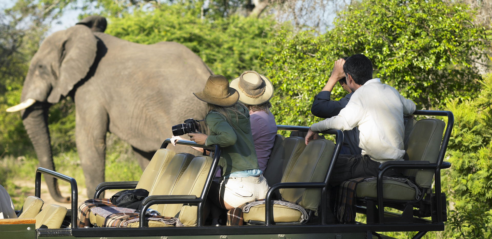 Corbett National Park, Jungle Safari