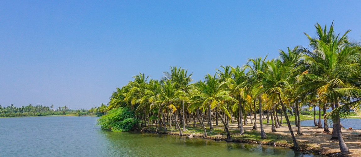 Things to do in Pondicherry