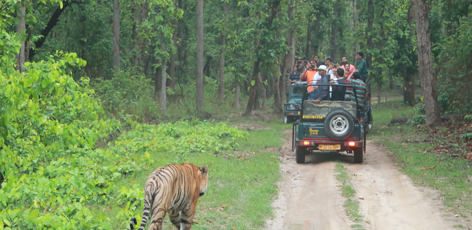 How to reach Kanha National Park