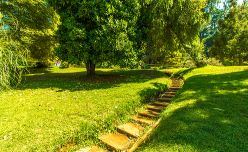 Ooty Botanical Garden