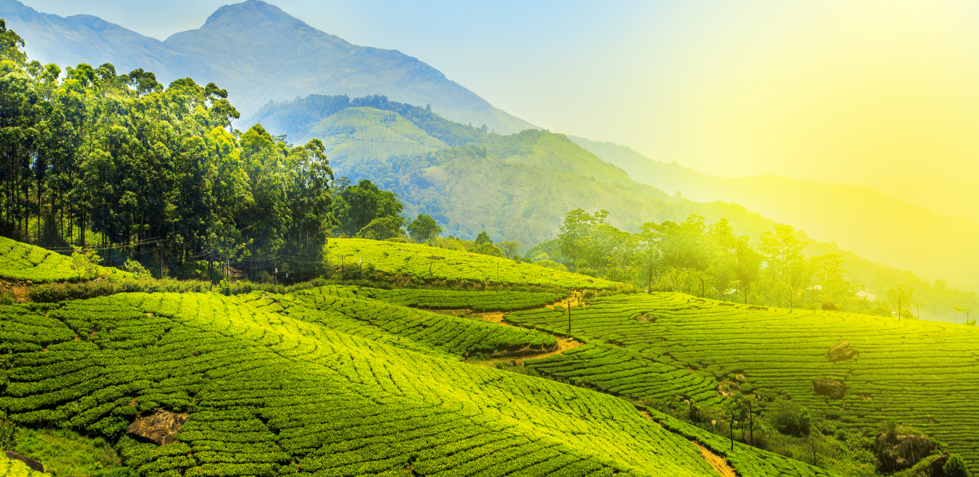 places to visit in munnar with family