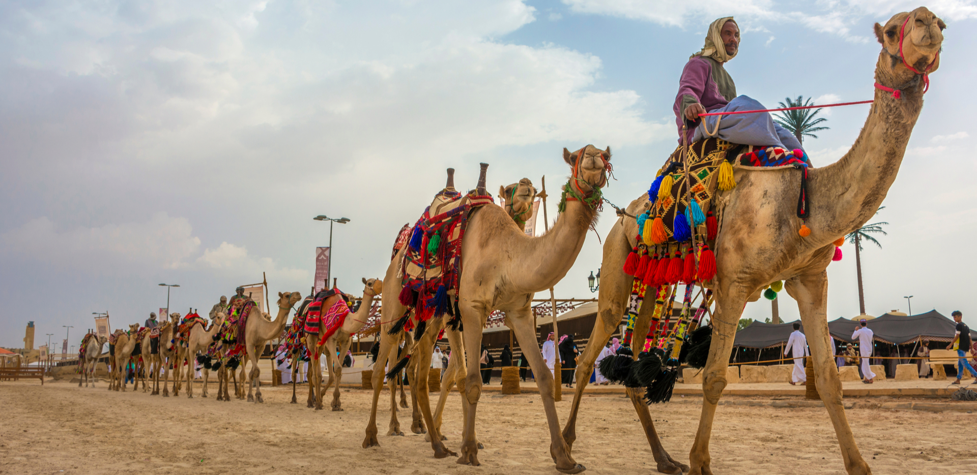 Camel Festival Bikaner
