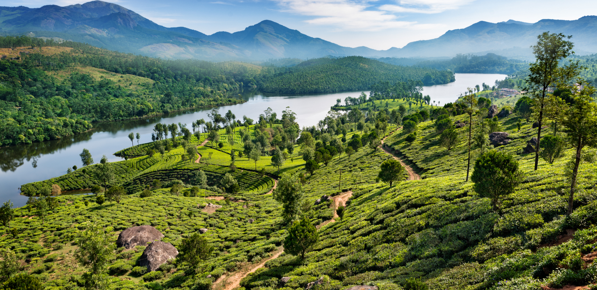Tea plantations at Munnar