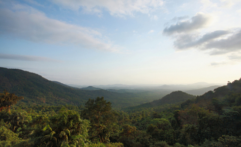 Mollem National Park