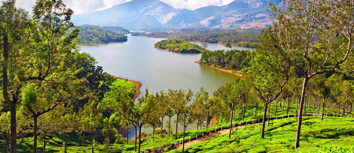 beautiful munnar