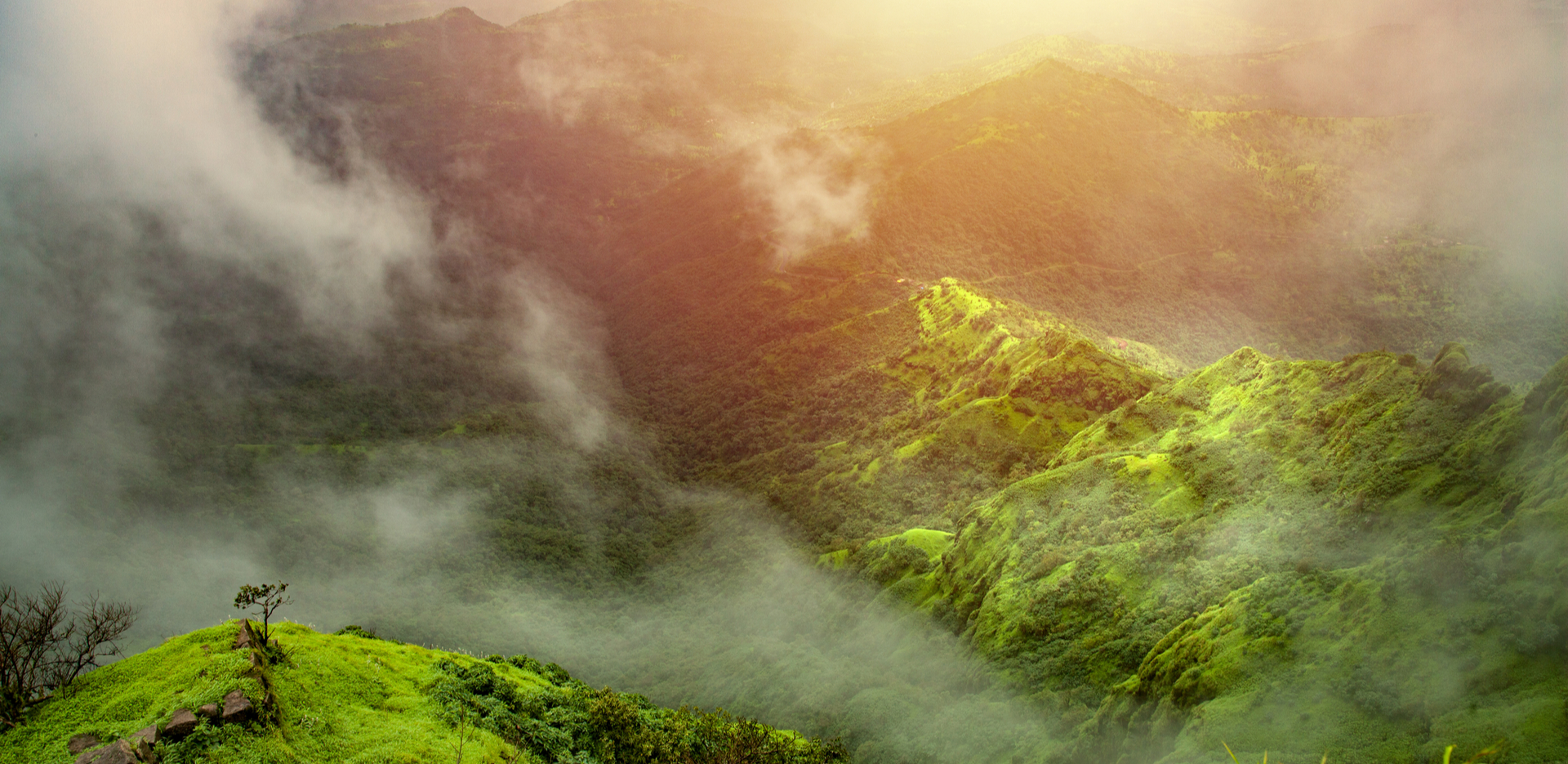 Foggy Mahabaleshwar  in monsoon