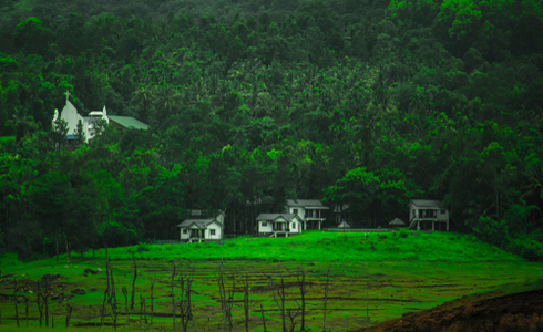 Wayanad Resort In Kerala