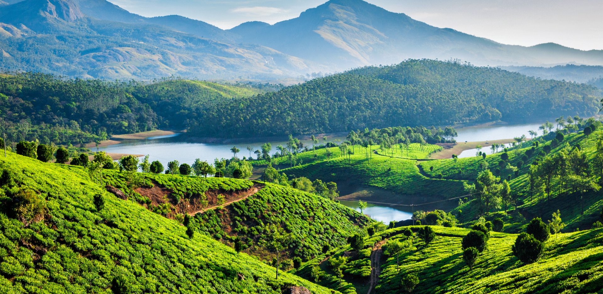 Munnar, Kerala for long weekends 2022