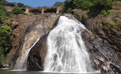 Bhagwan Mahaveer Sanctuary