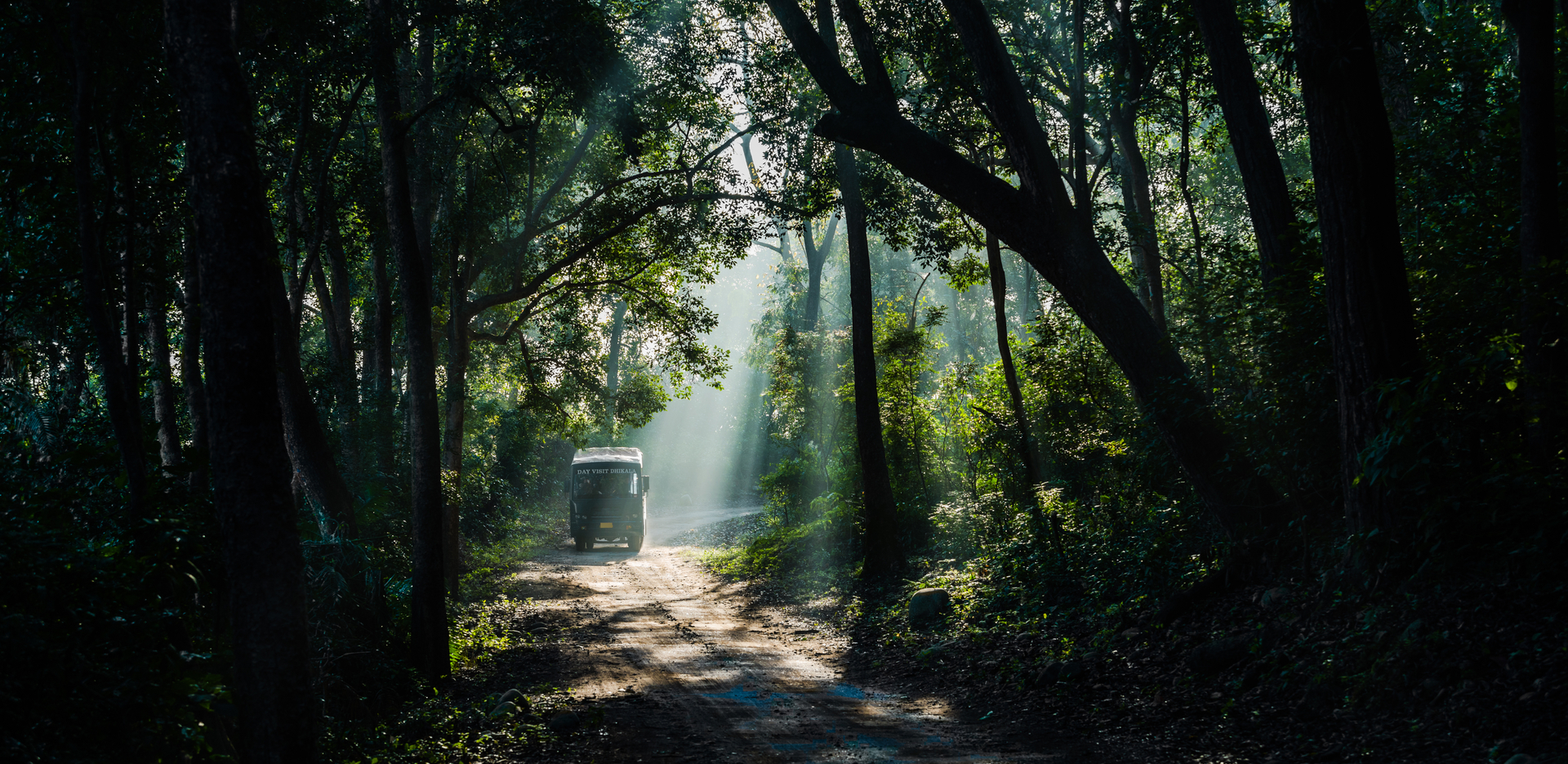 The Jim Corbett National Park